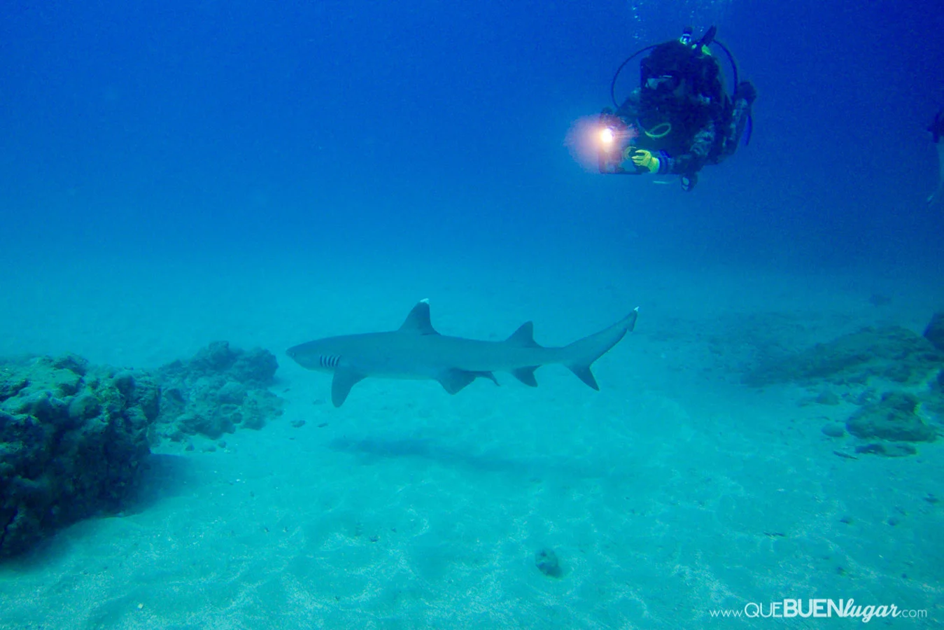 Buceo - Isla del Caño