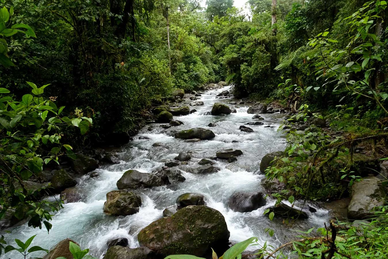 La Marta - Cartago