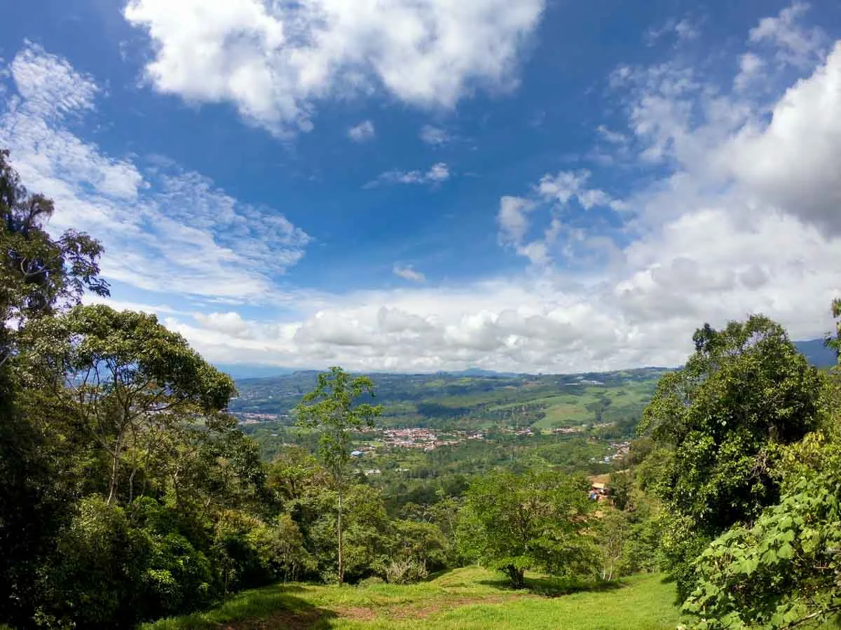 Espino Blanco - Turrialba