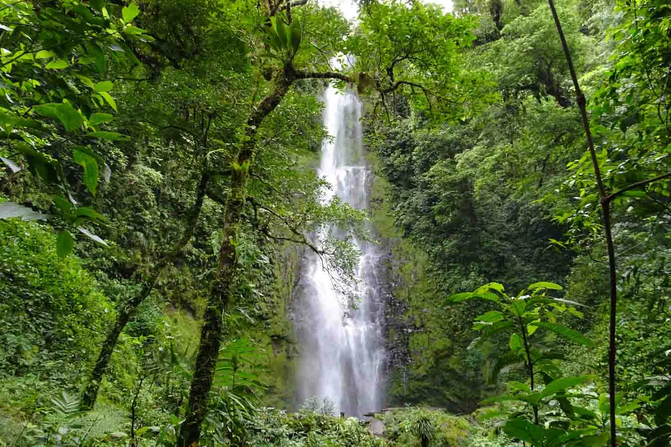 CATARATAS LAS ORQUIDEAS - GUAPILES