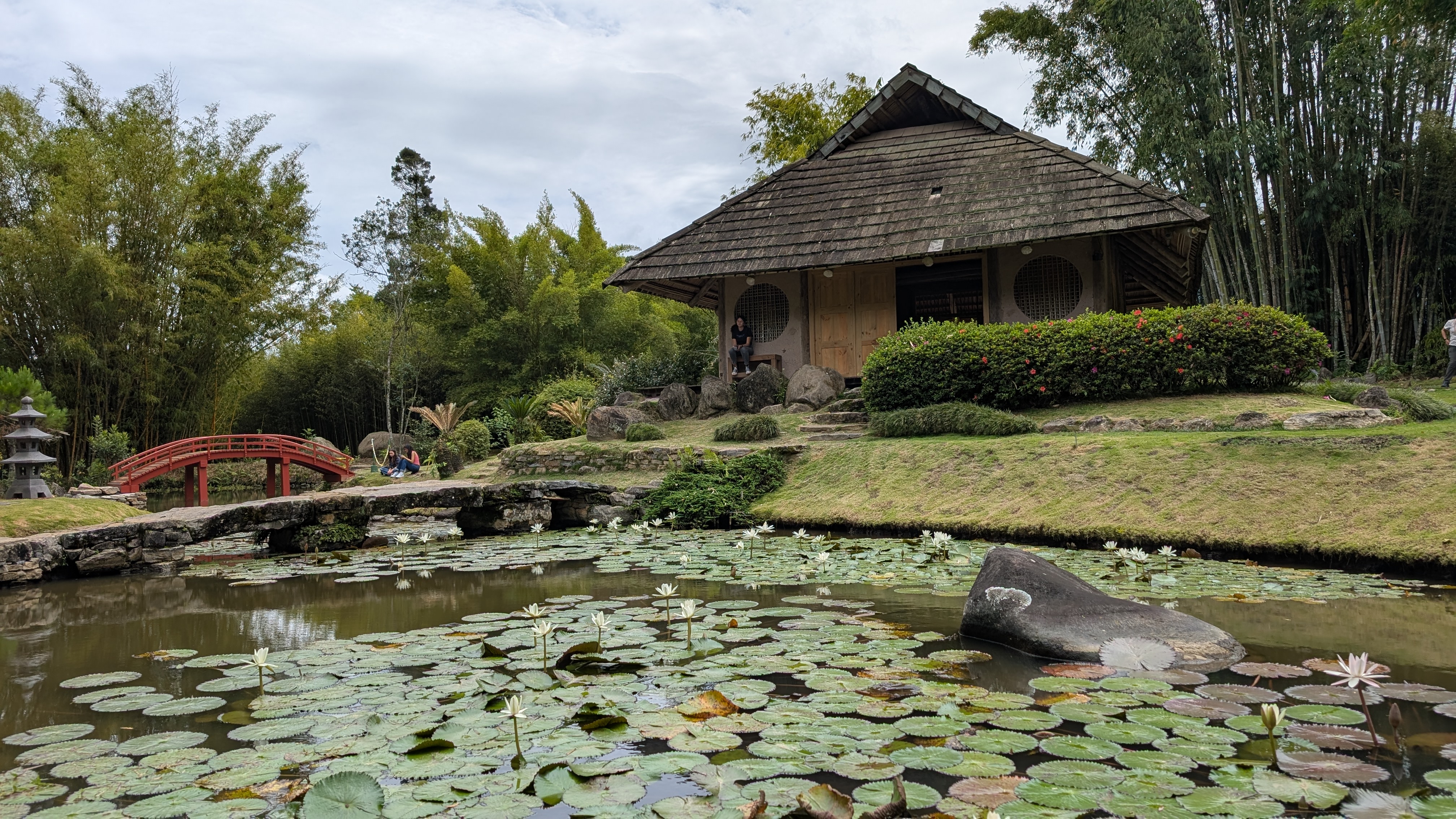  Jardín Lankester: Naturaleza, paz y orquídeas en Cartago