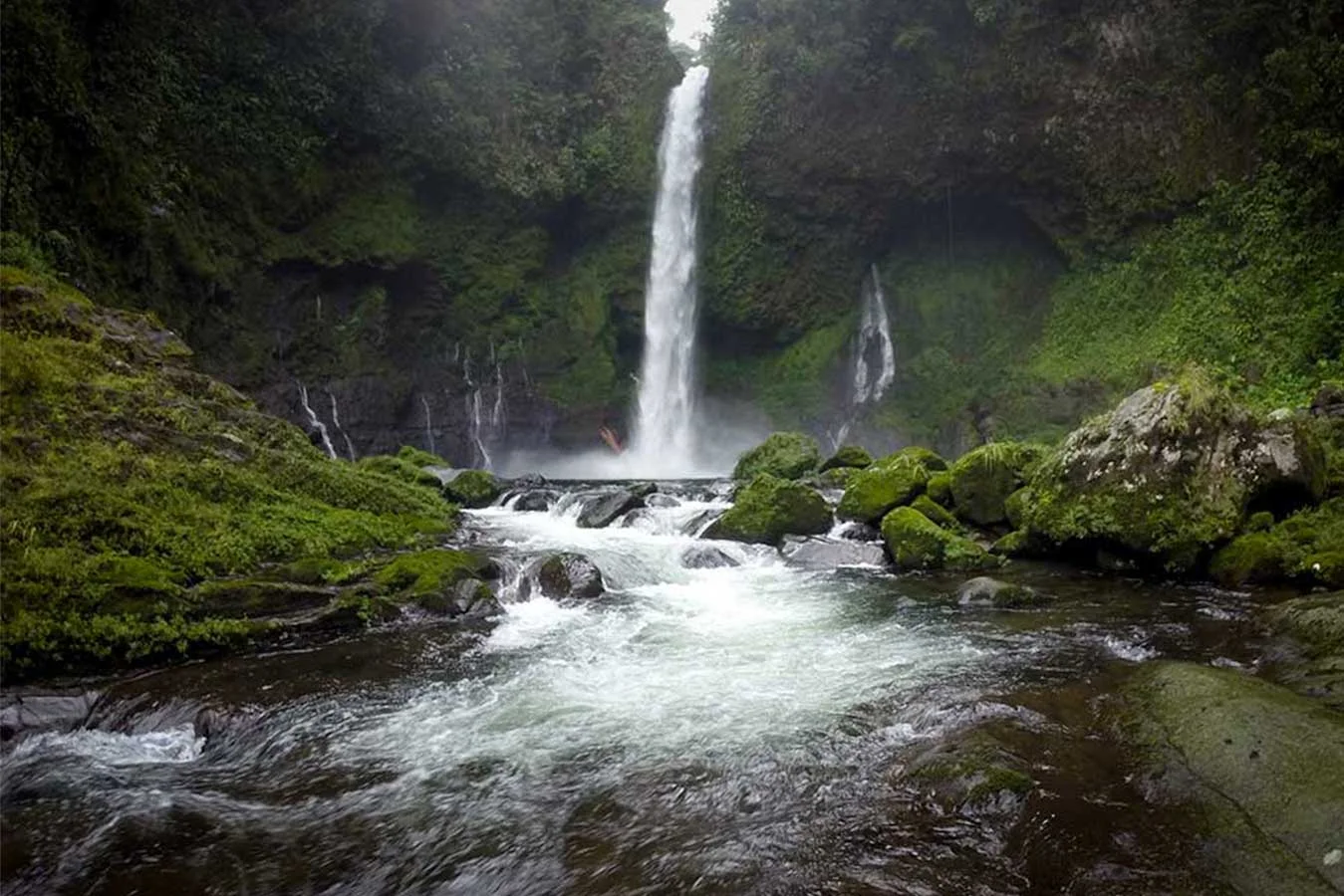 Dos Novillos – Limón: jungle hike to a 40-meter Caribbean waterfall