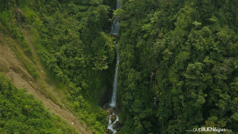Cerro Caricias – A magical forest right next to the city 🌿✨