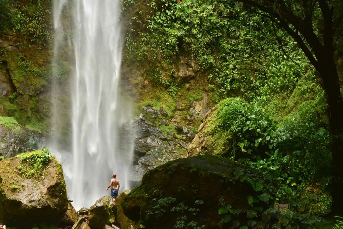 CASCADA  ELYSIANA