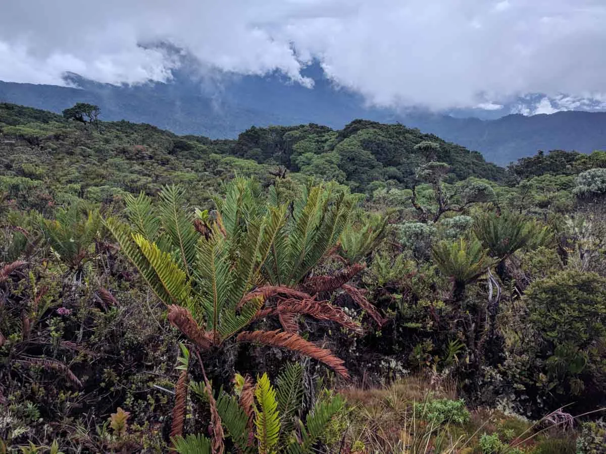 Cerro Utyum - Buenos Aires