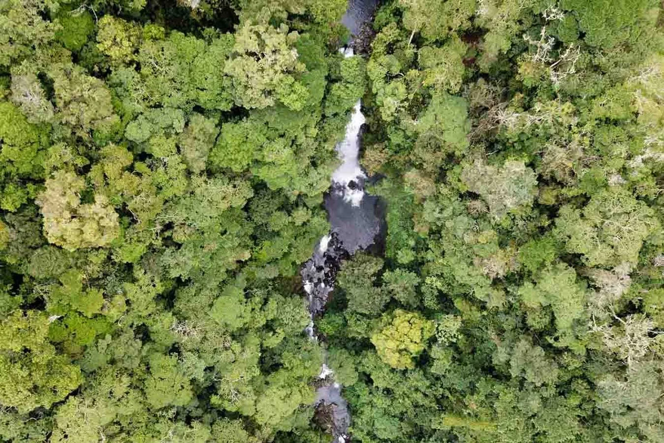 Catarata Caño Seco - Turrialba