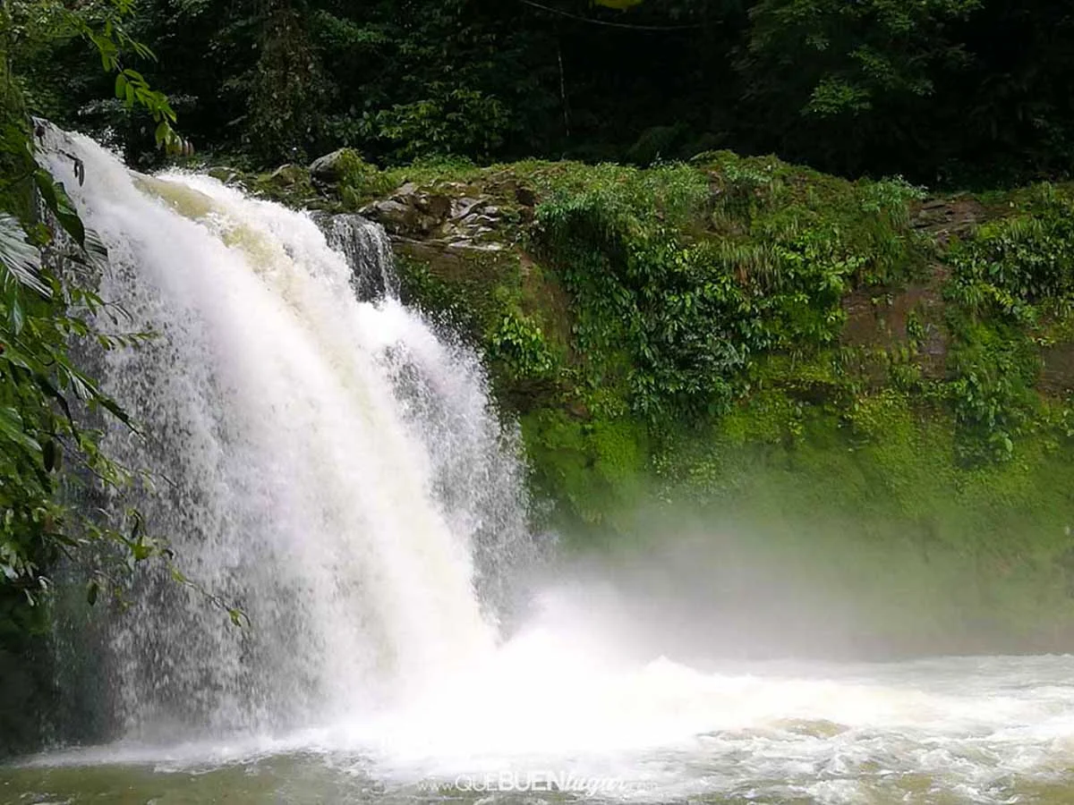 La Ceiba