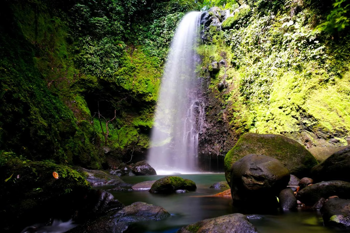 Catarata El Angel & San Alejo - Siquirres