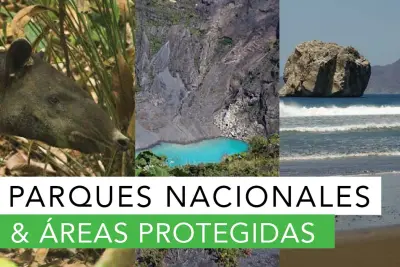 National parks and other protected areas