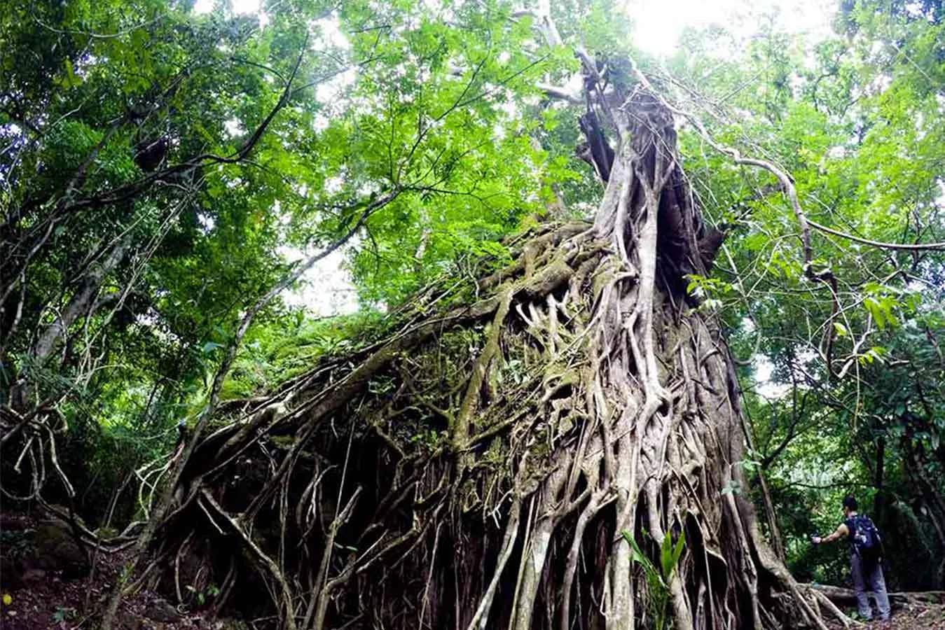 Piedra de Fuego – Esparza, Puntarenas  