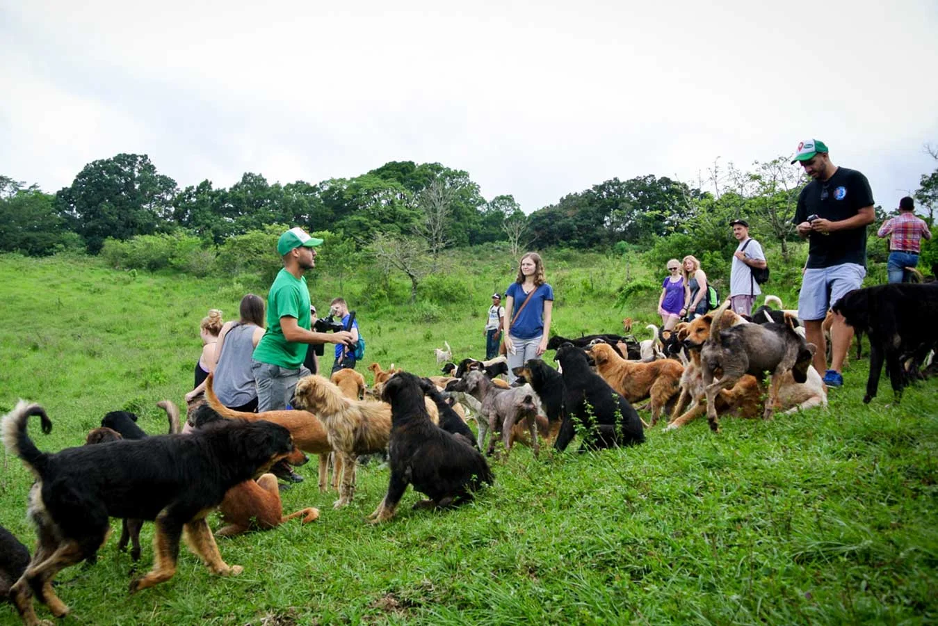 Territorio de Zaguates