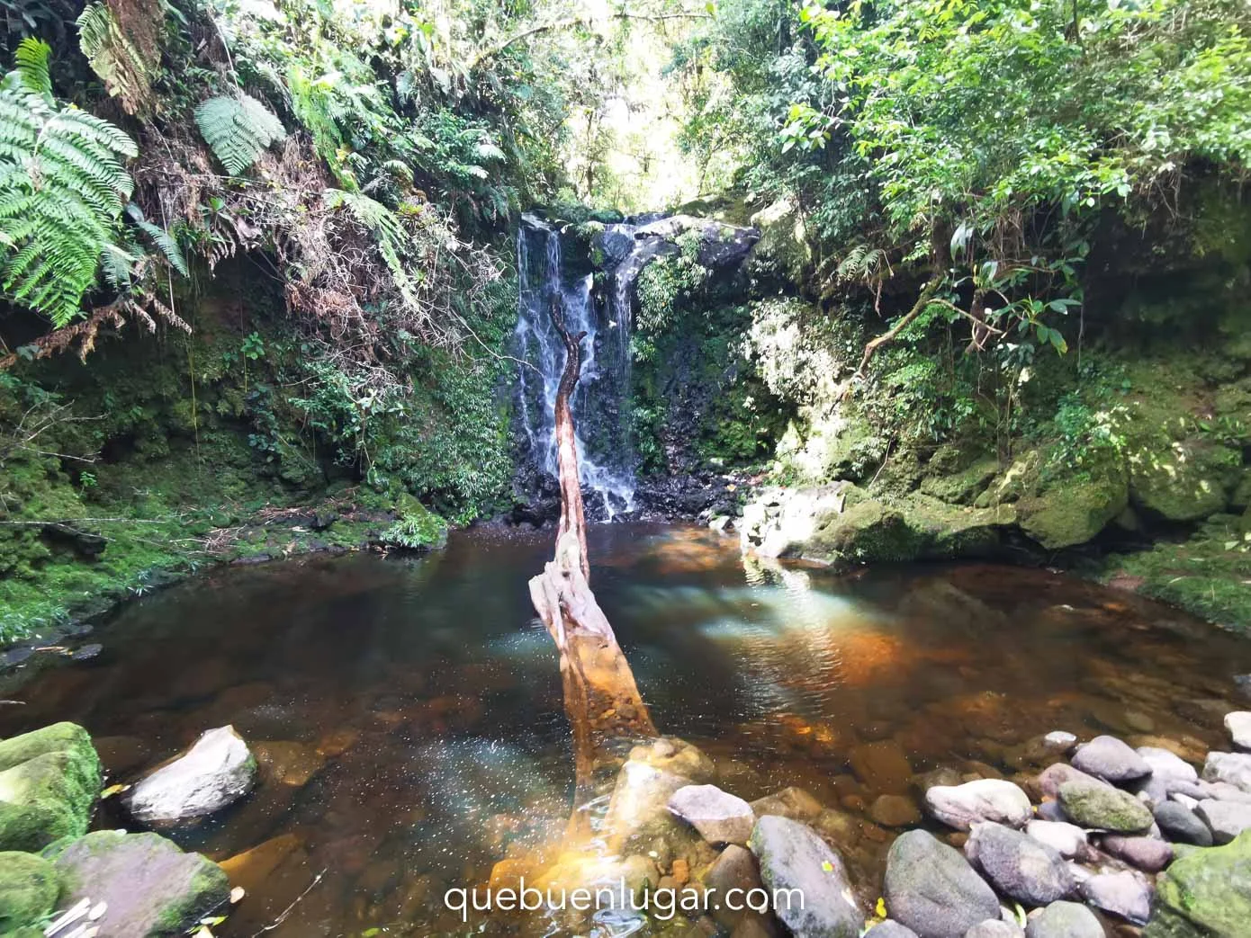 Cerro Dantas in Heredia: Hiking Adventure with Waterfalls and Rainforest