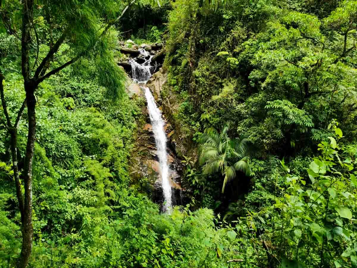 Catarata Las Palmas - Cerro de la Muerte