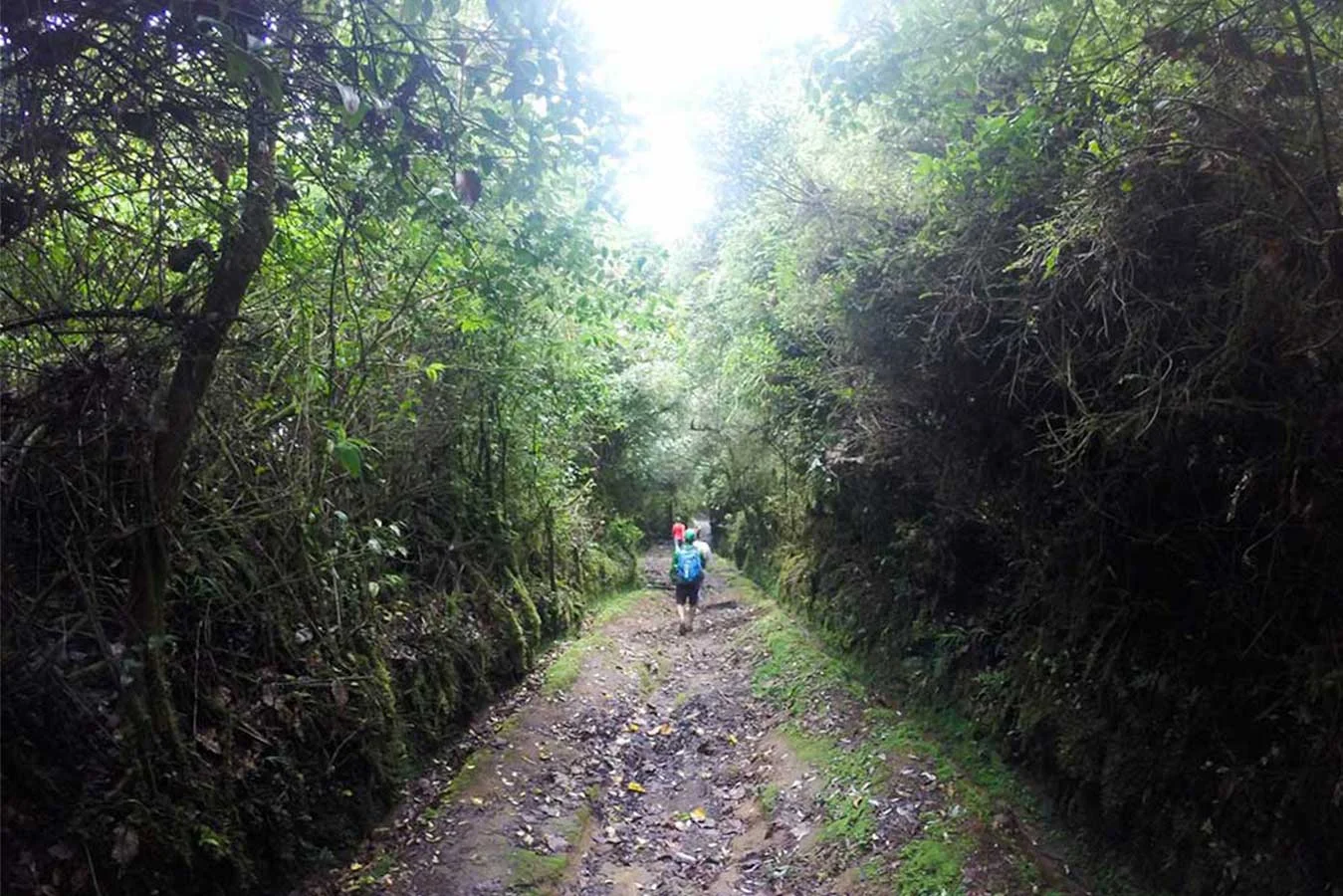 Volcán Barva