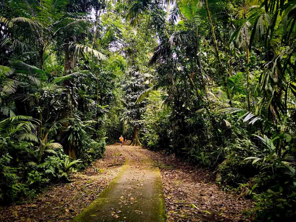 Estación Biológica La Selva - Sarapiquí