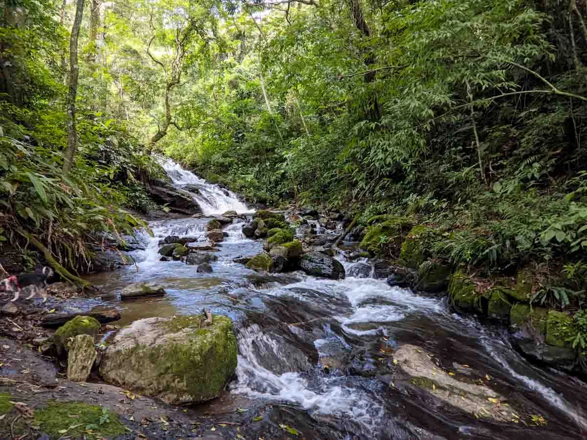 Cariblanco Mountains