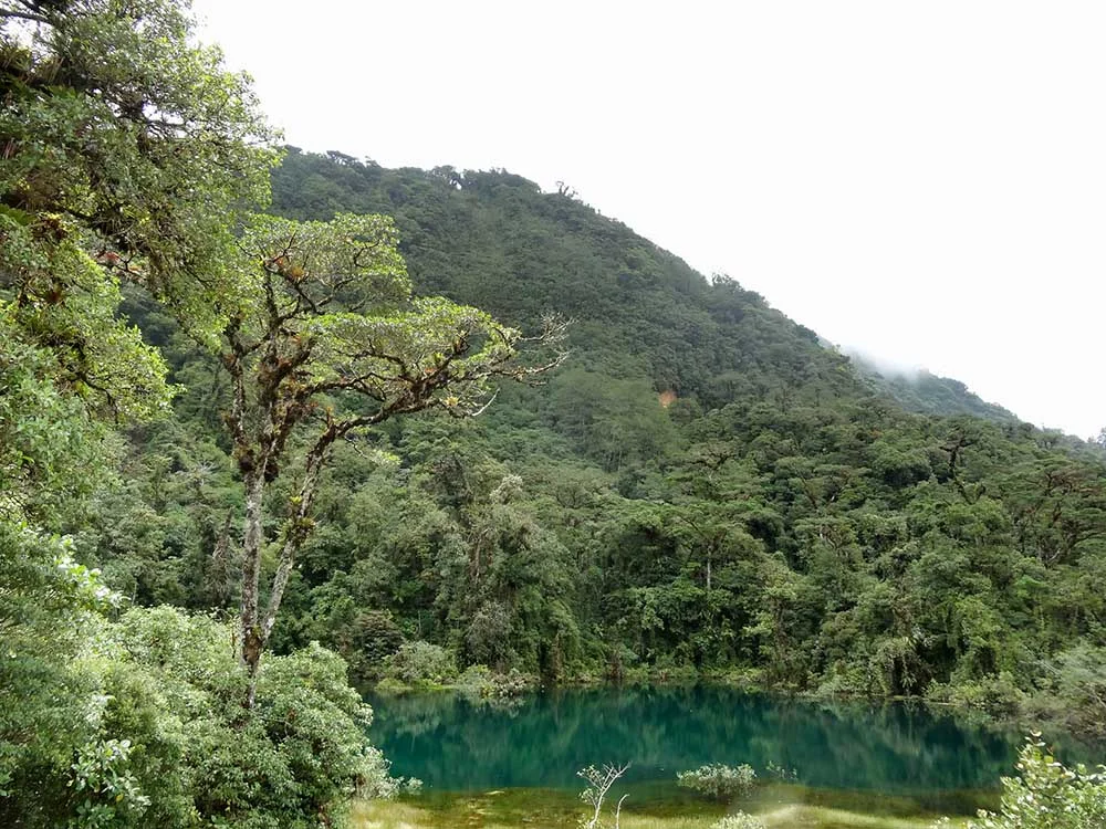 Pozo Verde, a Hidden Gem in Zarcero