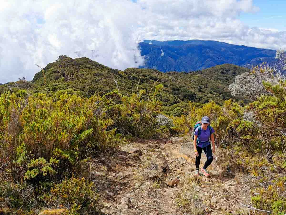 Cerro Buena Vista