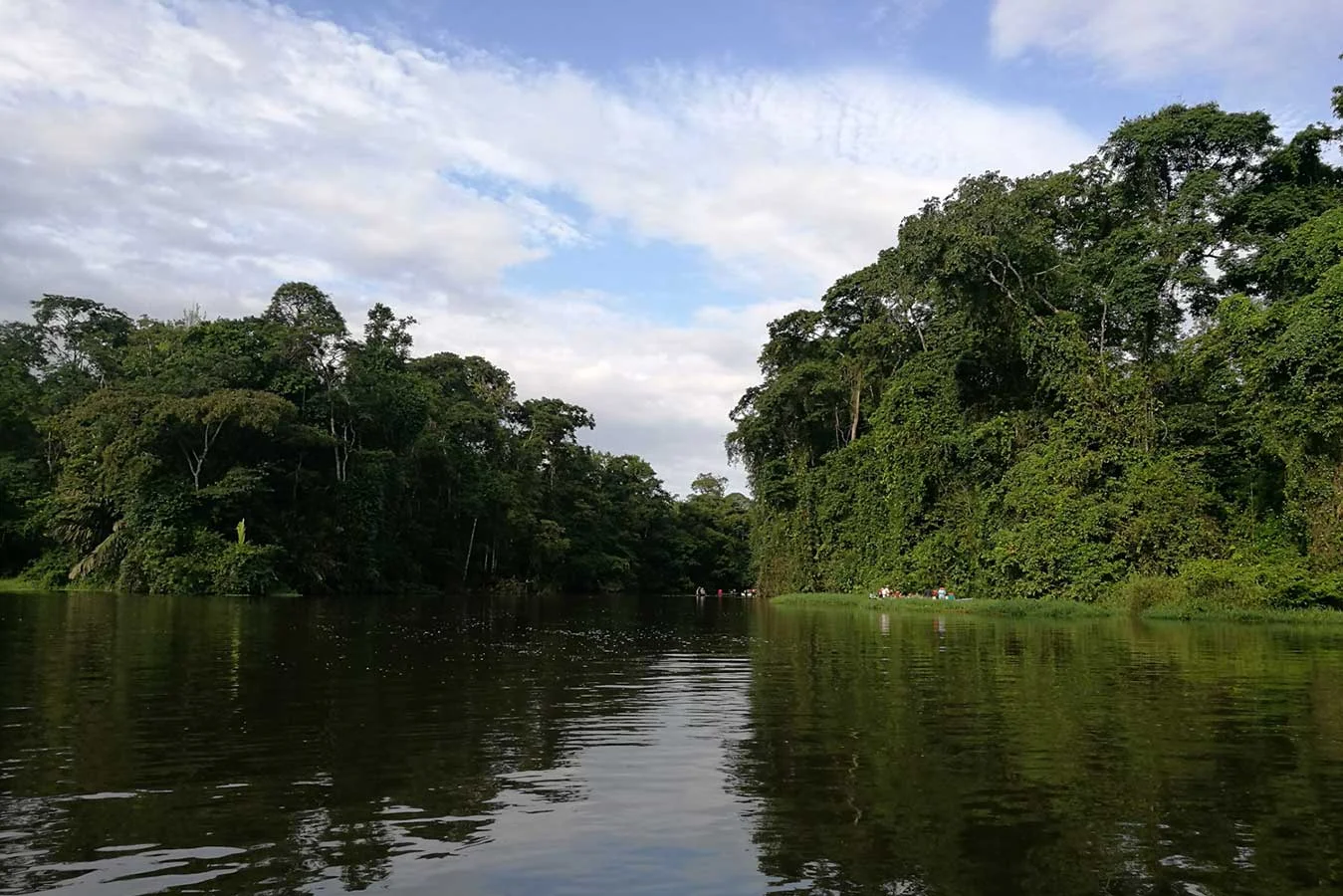 Tortuguero