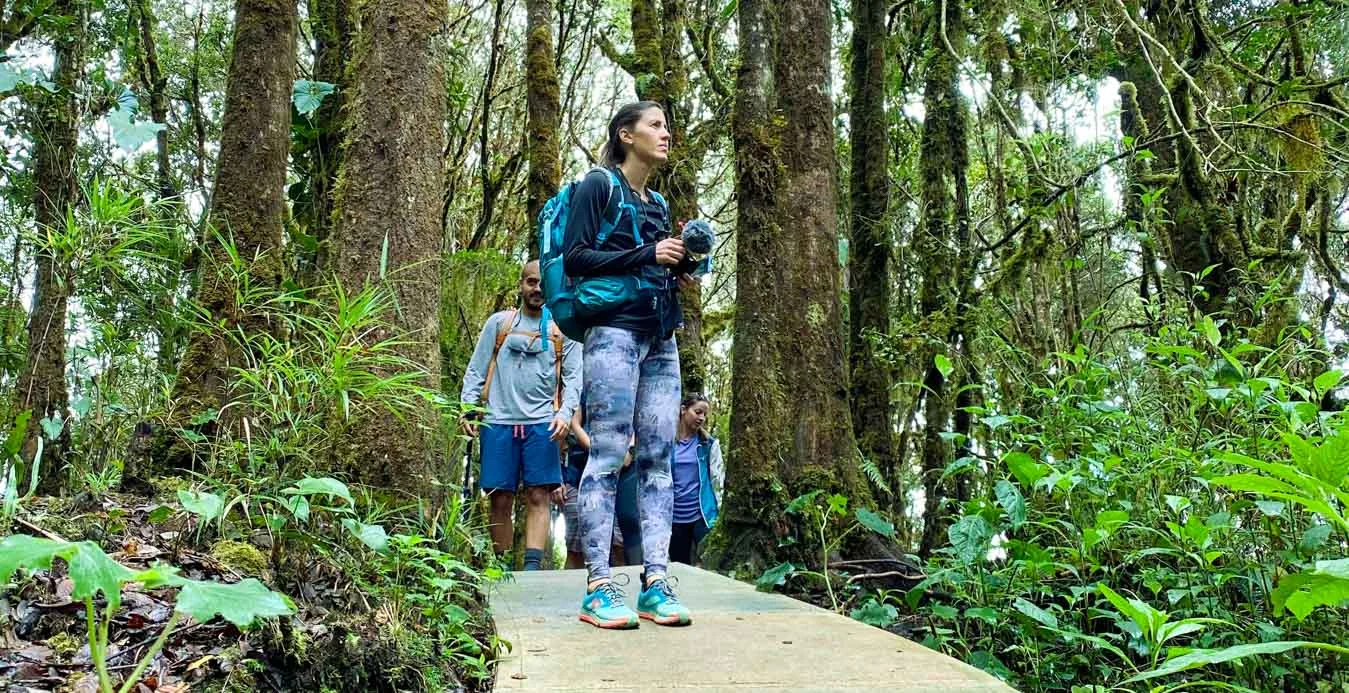 Los Quetzales National Park