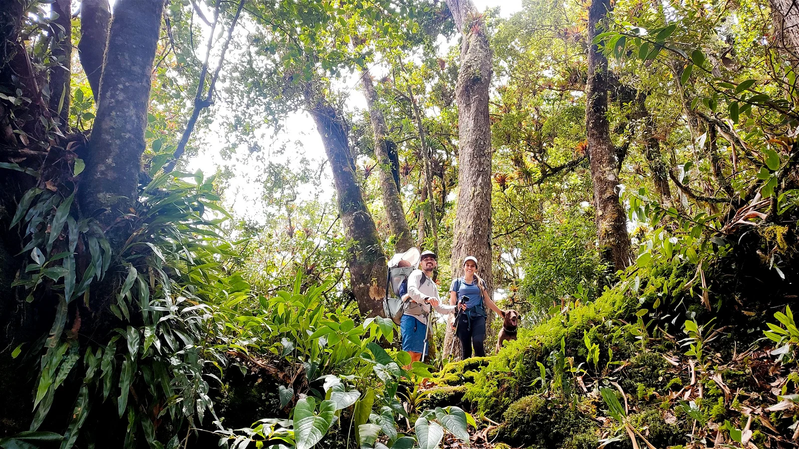 Tierra de Quetzales