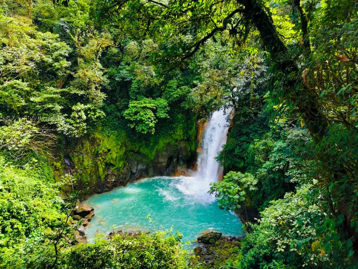 Río Celeste - Parque Nacional Volcán Tenorio