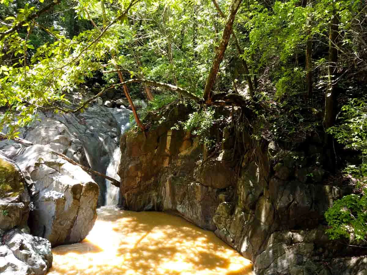 Poza El Cañón Finca San Gerardo - Alajuela