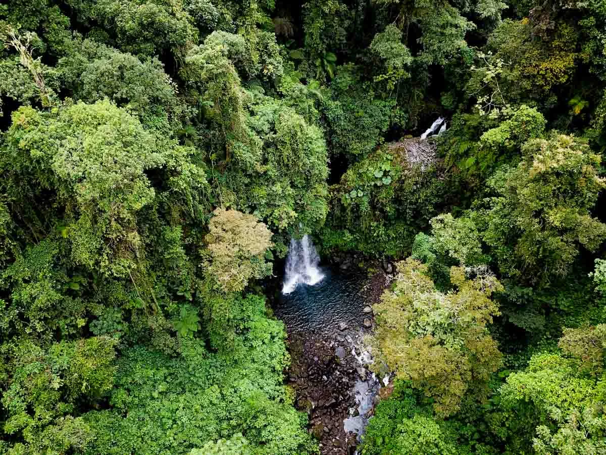 Catarata Los Nogales - Turrialba