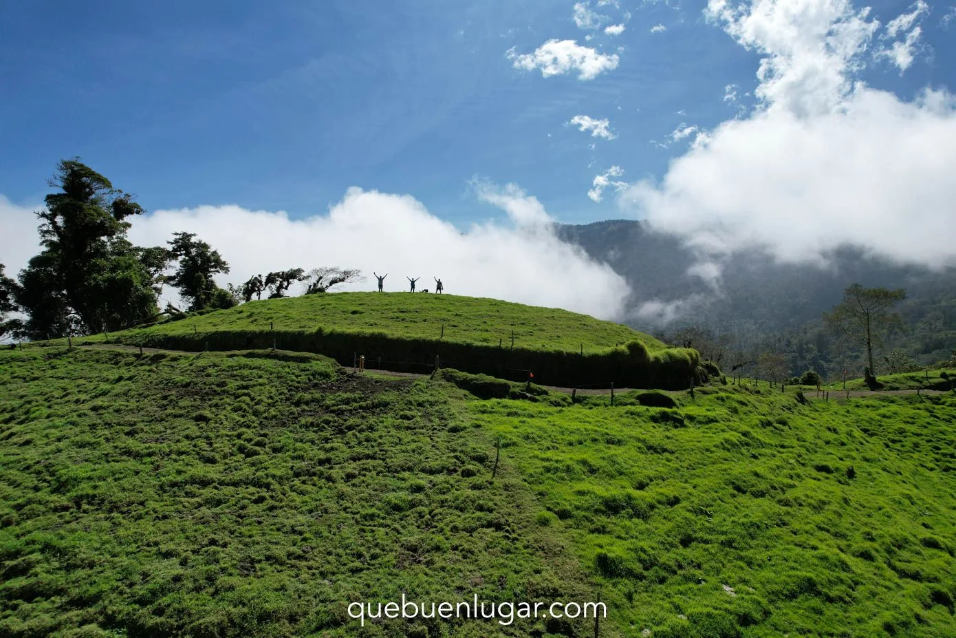 El Iral Bosque Nuboso