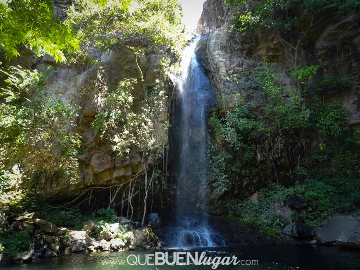 CATARATA LA CANGREJA - RINCON DE LA VIEJA